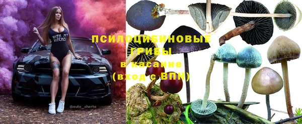 mdpv Вязники